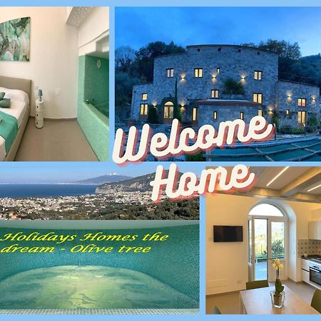 Holidays Homes The Dream Sant'Agnello Esterno foto