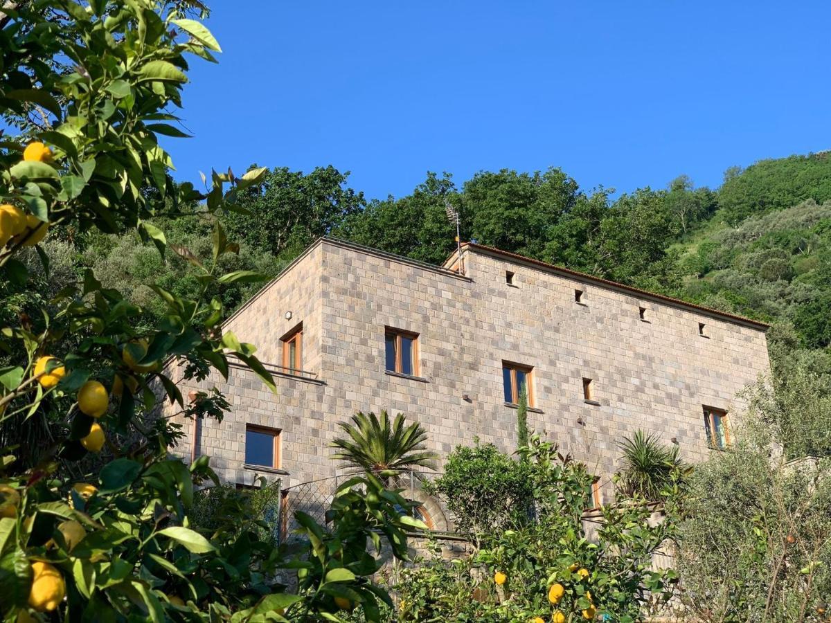 Holidays Homes The Dream Sant'Agnello Esterno foto