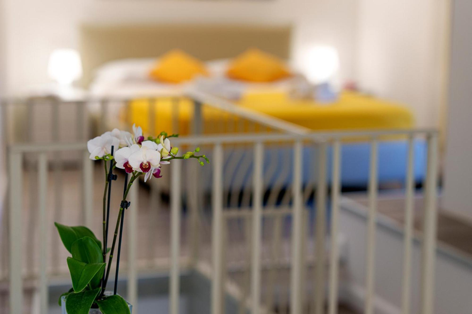 Holidays Homes The Dream Sant'Agnello Esterno foto