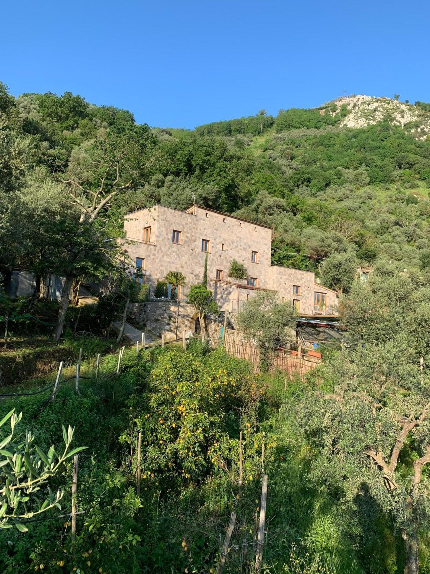 Holidays Homes The Dream Sant'Agnello Esterno foto